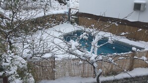 Una piscina envoltada per arbres coberts de neu i una paret de pedra.