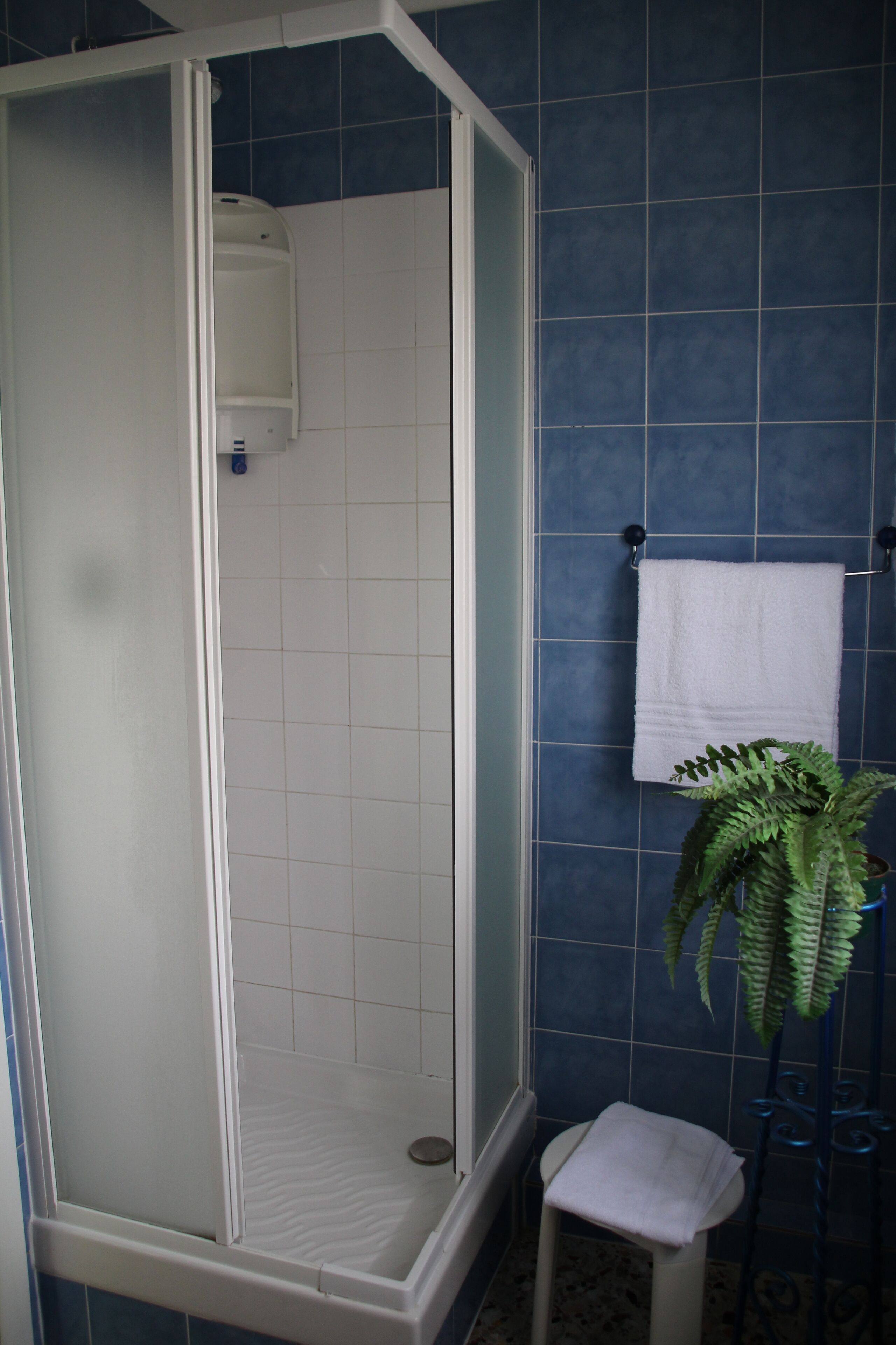 single room, private bathroom | bathroom | shower, free toiletries, hair dryer, bidet