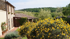 Property entrance - Agriturismo Bonzalone (Magliano in Toscana)