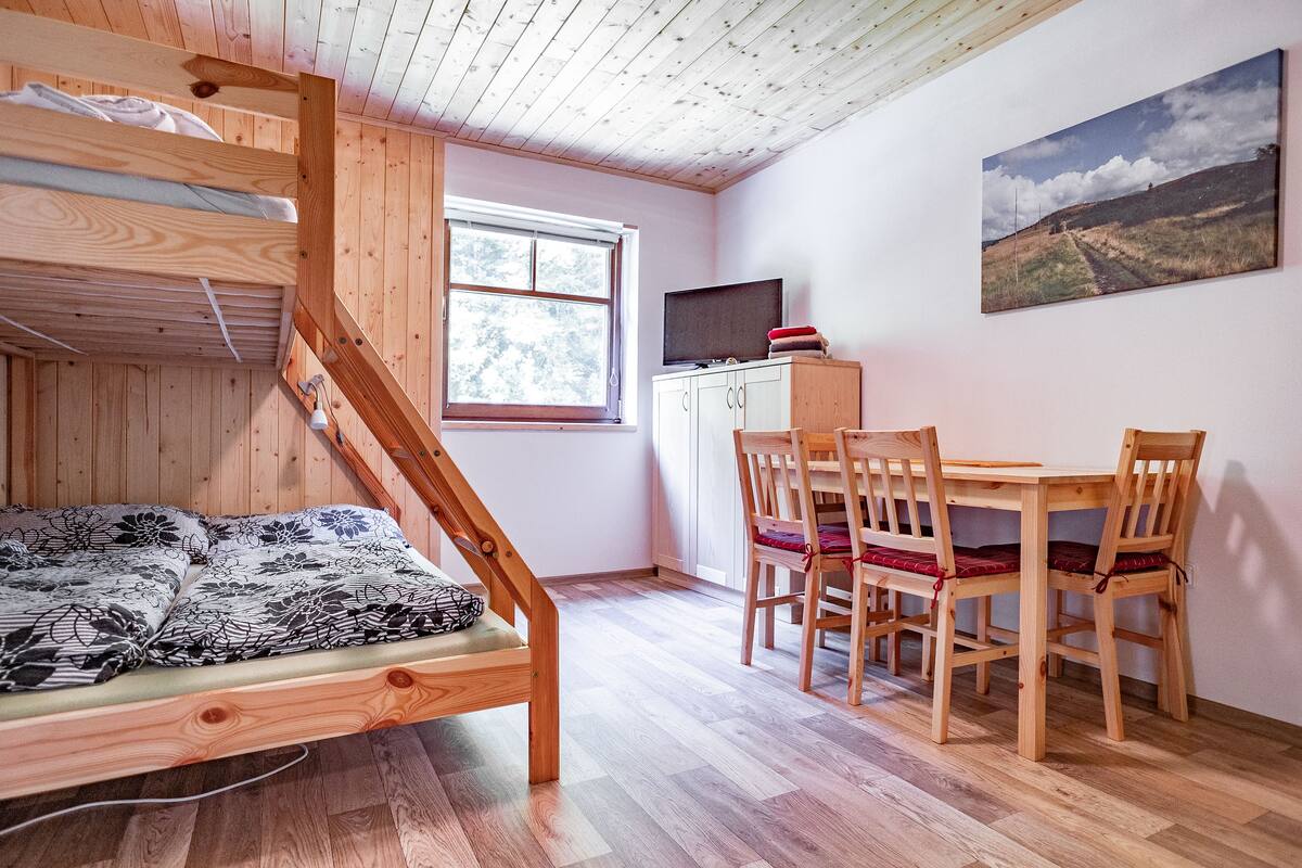 Une pièce avec un lit superposé en bois, une table à manger avec des chaises, un téléviseur posé sur un meuble et une fenêtre donnant sur des arbres.