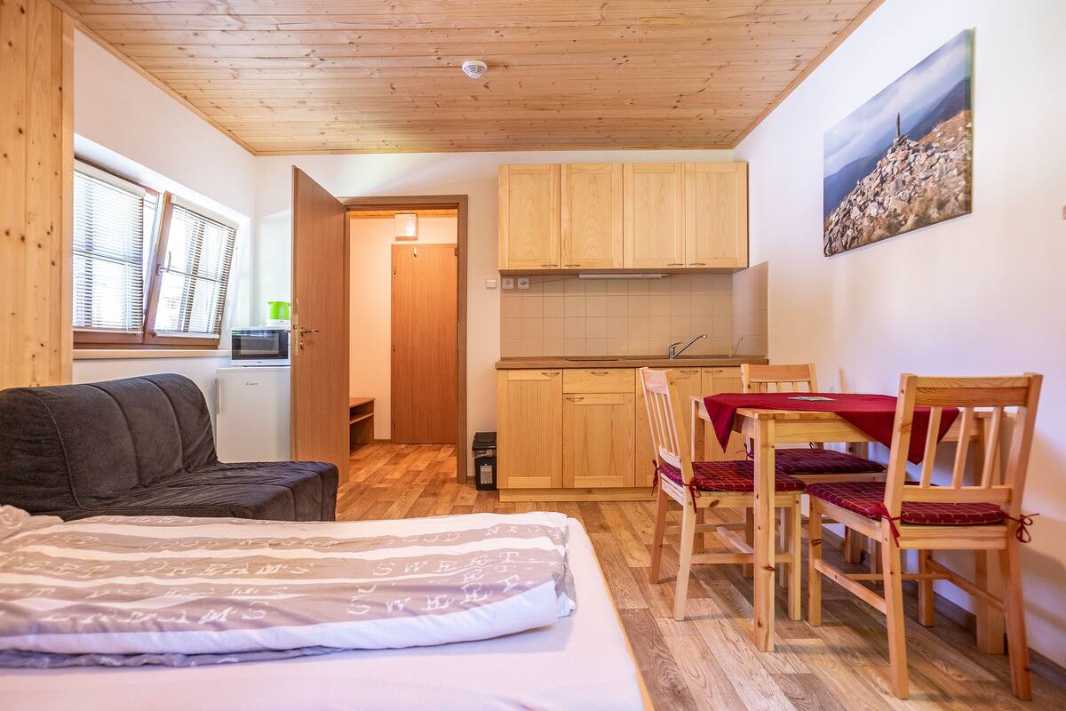 Une pièce de taille modeste comprenant un lit, une petite kitchenette, une table à manger avec des chaises et une fenêtre avec des stores.