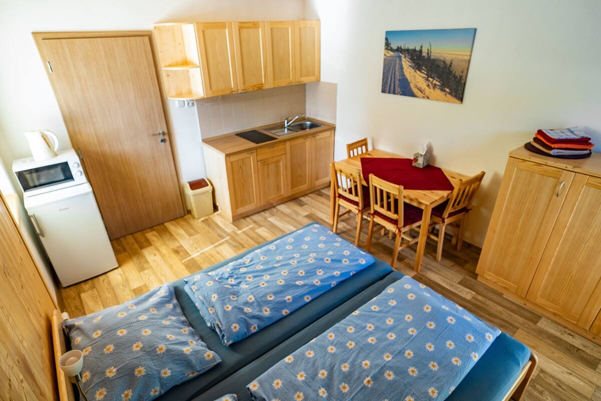Appartement Standard, 1 chambre, balcon (Apt 8)