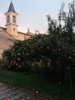 A garden with a pomegranate tree and a church tower. - B&B Ciliegio Felice (Argenta)