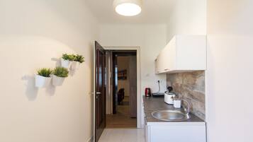 Apartment, 1 King Bed | Private kitchen | Fridge, coffee/tea maker, electric kettle, cookware/dishes/utensils