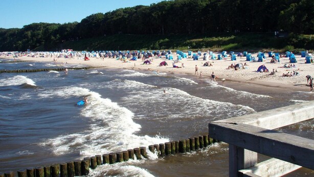 A beach with numerous blue and purple beach chairs and umbrellas, a wooden pier, and a forested area in the background.