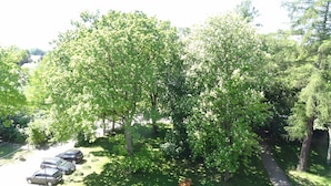 A parking area with several cars and a pathway surrounded by lush green trees.