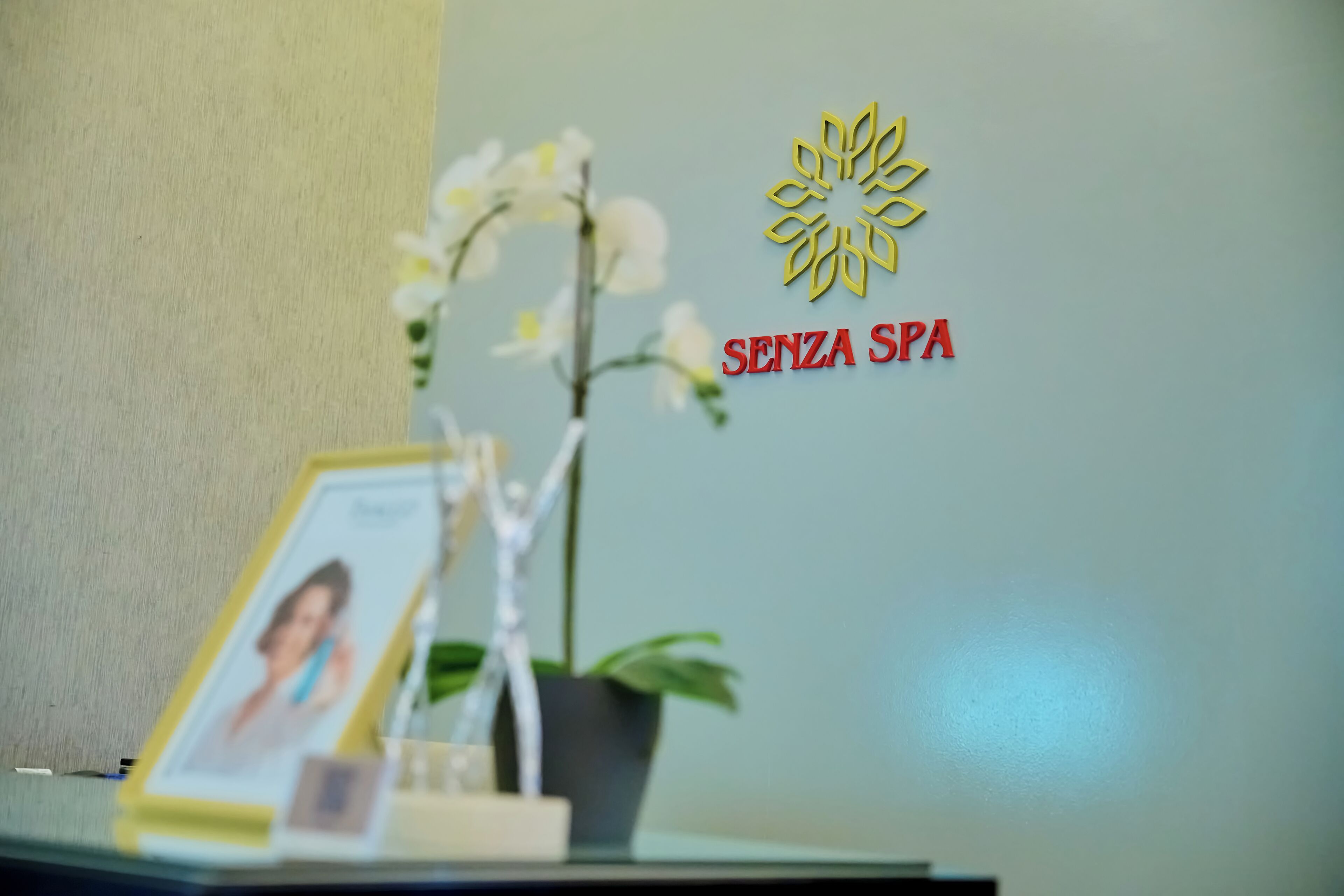 A reception desk with a framed photo, a potted plant, and a logo with the text 'SENZA SPA'.