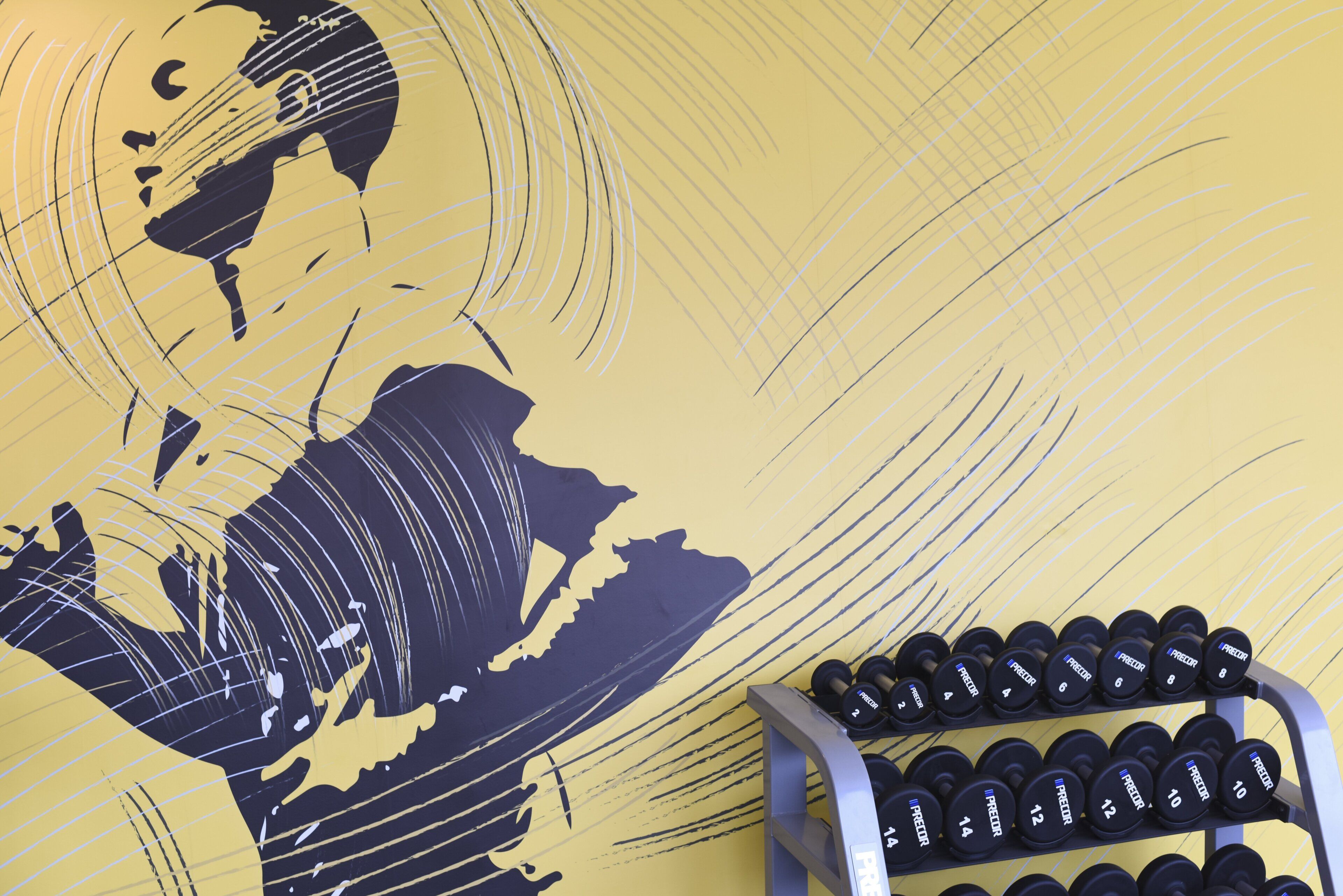 A wall with a large abstract design and a rack of dumbbells.