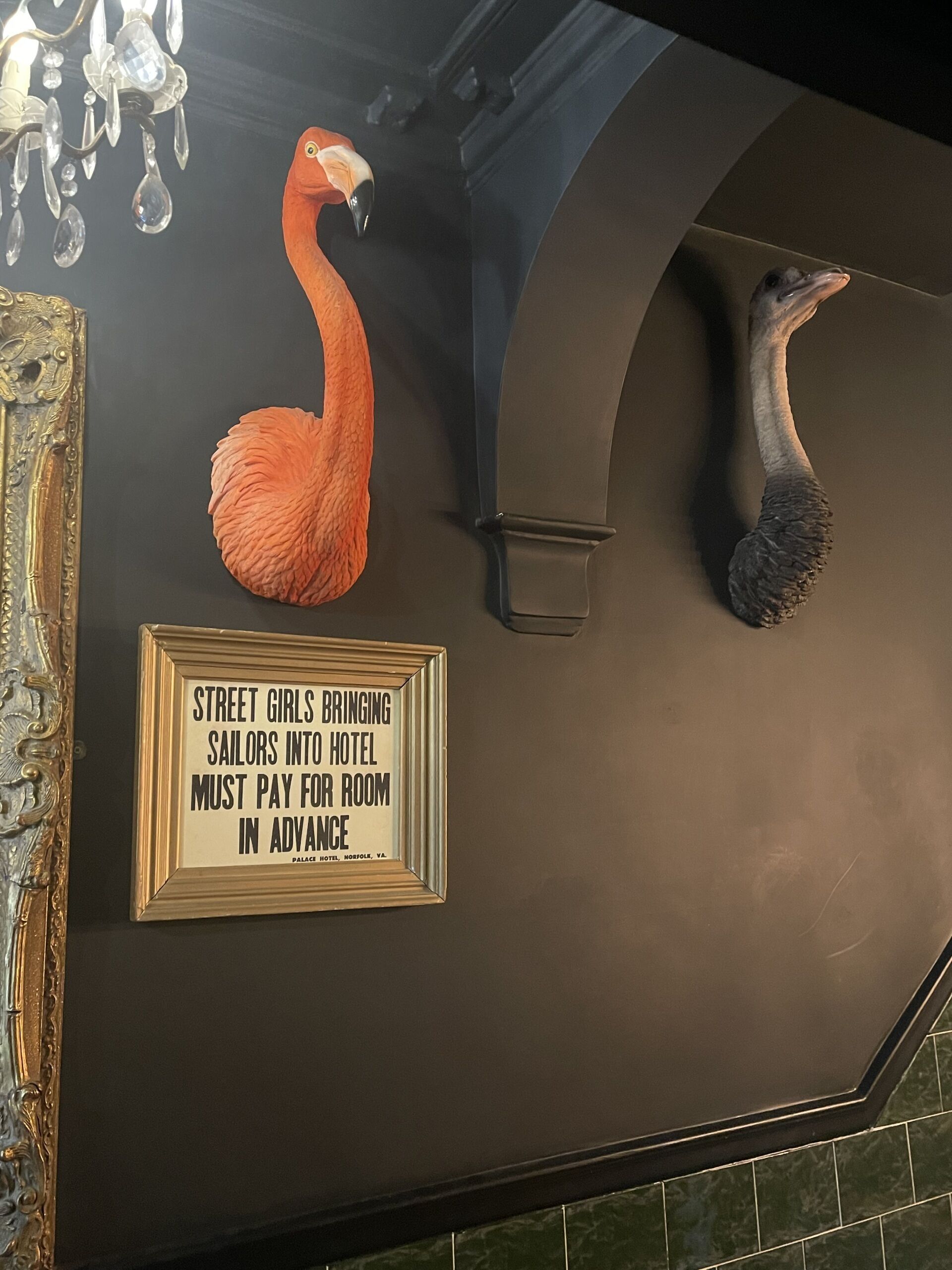 A wall with a flamingo, a bird, and a sign stating "Street girls bringing sailors into hotel must pay for room in advance."