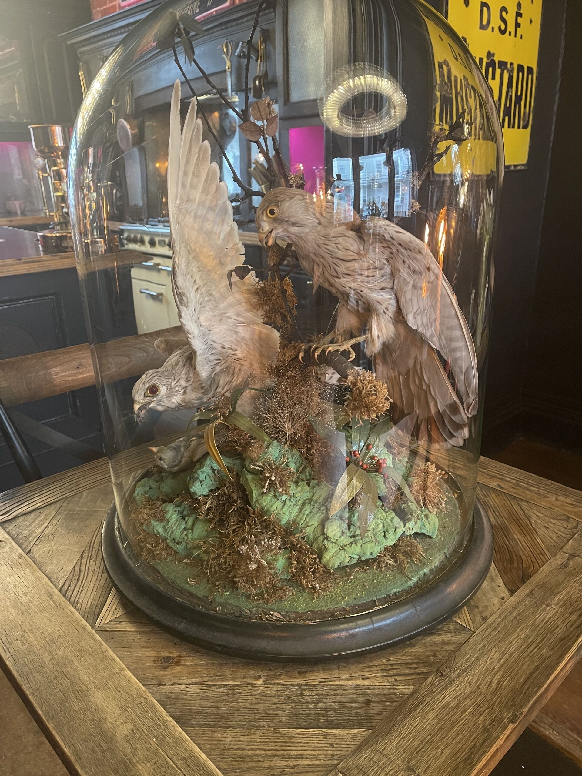 A glass display case with a mounted bird and branches.
