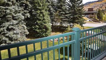 Kondominium, 1 kamar tidur | Balkon