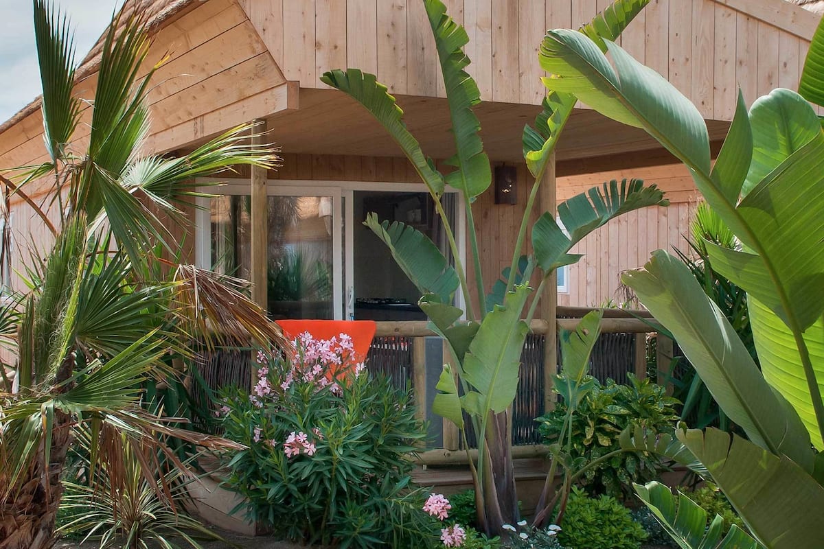 A wooden house with a large garden featuring tropical plants and a red chair.