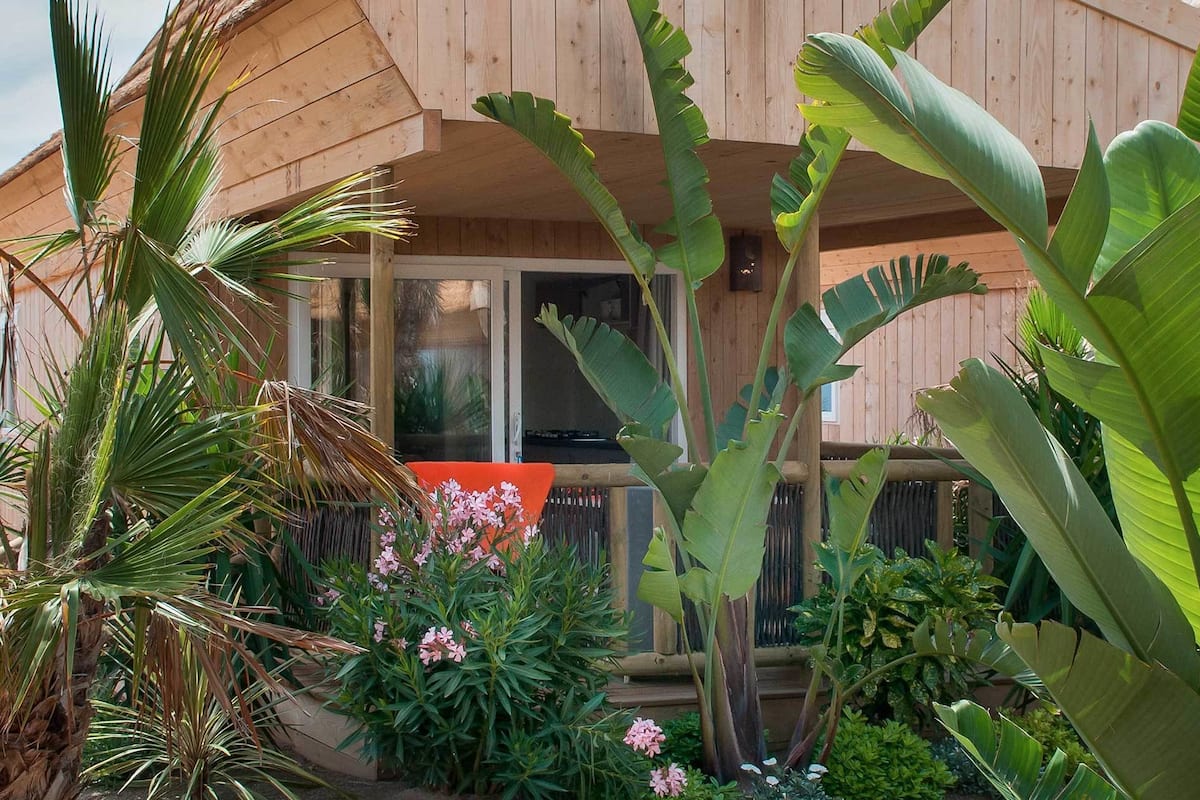 A wooden building with a covered porch, surrounded by various tropical plants and flowers.
