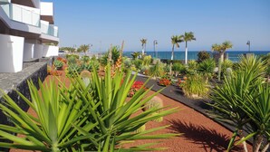 A landscaped garden with palm trees and cacti, a pathway, and a view of the ocean. - Hotel Lava Beach (Tías)