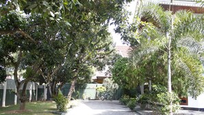 Un patio con un sendero de grava, una hamaca y varios árboles.