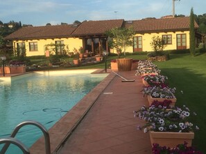 A swimming pool with a tiled deck, surrounded by flower planters and a lawn.
