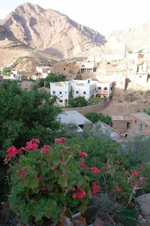 Exterior detail - Dar Tiwira - Hostel (Toudgha El Oulia)