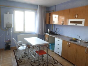Fridge, stovetop, cookware/dishes/utensils