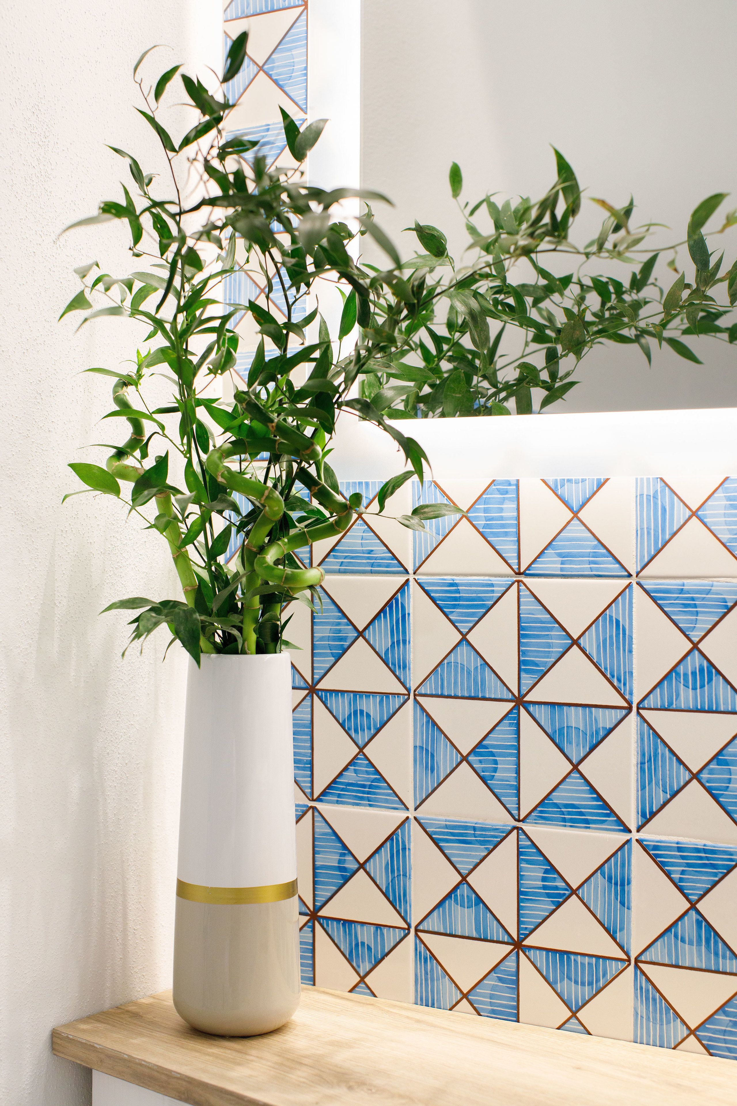 A potted plant on a wooden shelf against a wall with geometric tile patterns.