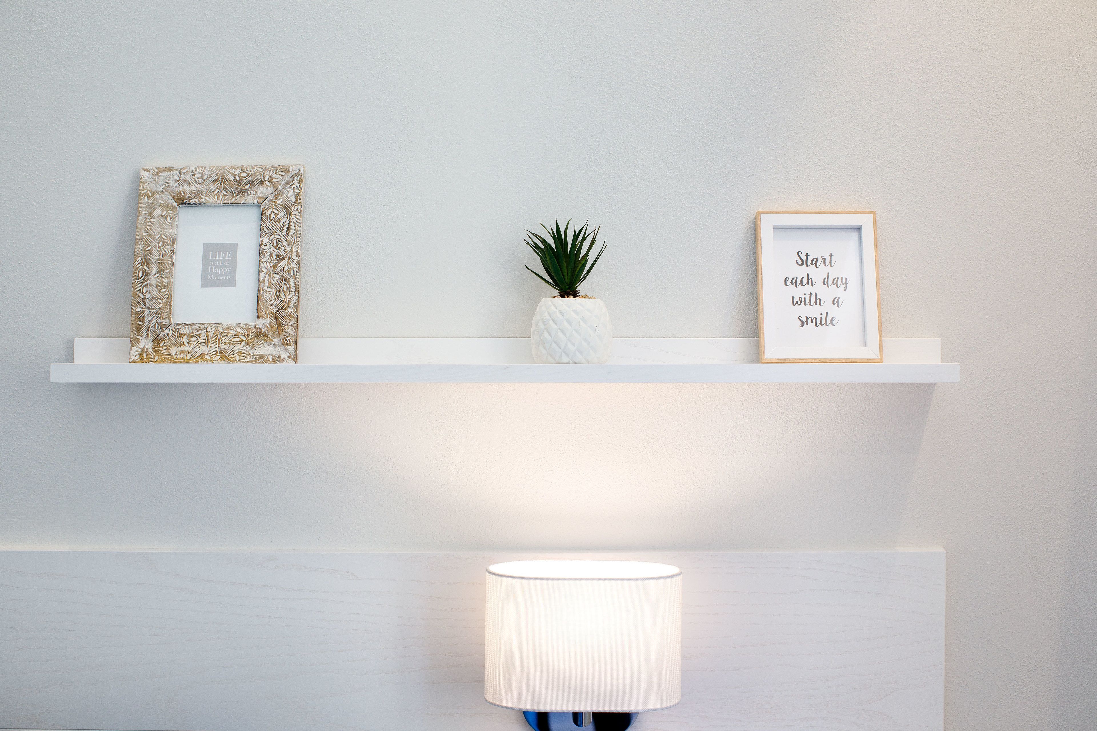 A white shelf with two framed pictures and a small potted plant.