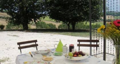 La Quercia del Saggio