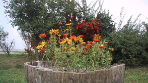 A rustic wooden planter filled with vibrant flowers. - La Quercia del Saggio (Senigallia)
