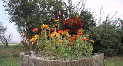 La Quercia del Saggio