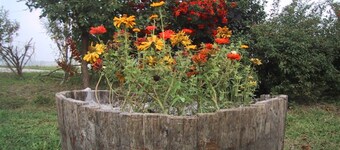 La Quercia del Saggio