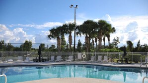 A swimming pool with lounge chairs and a fence, surrounded by palm trees and a clear sky.