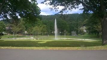 A park with a central fountain, surrounded by grass and trees.