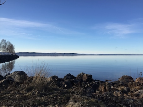 Lago