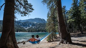A hammock between two trees overlooking a lake with mountains in the background.