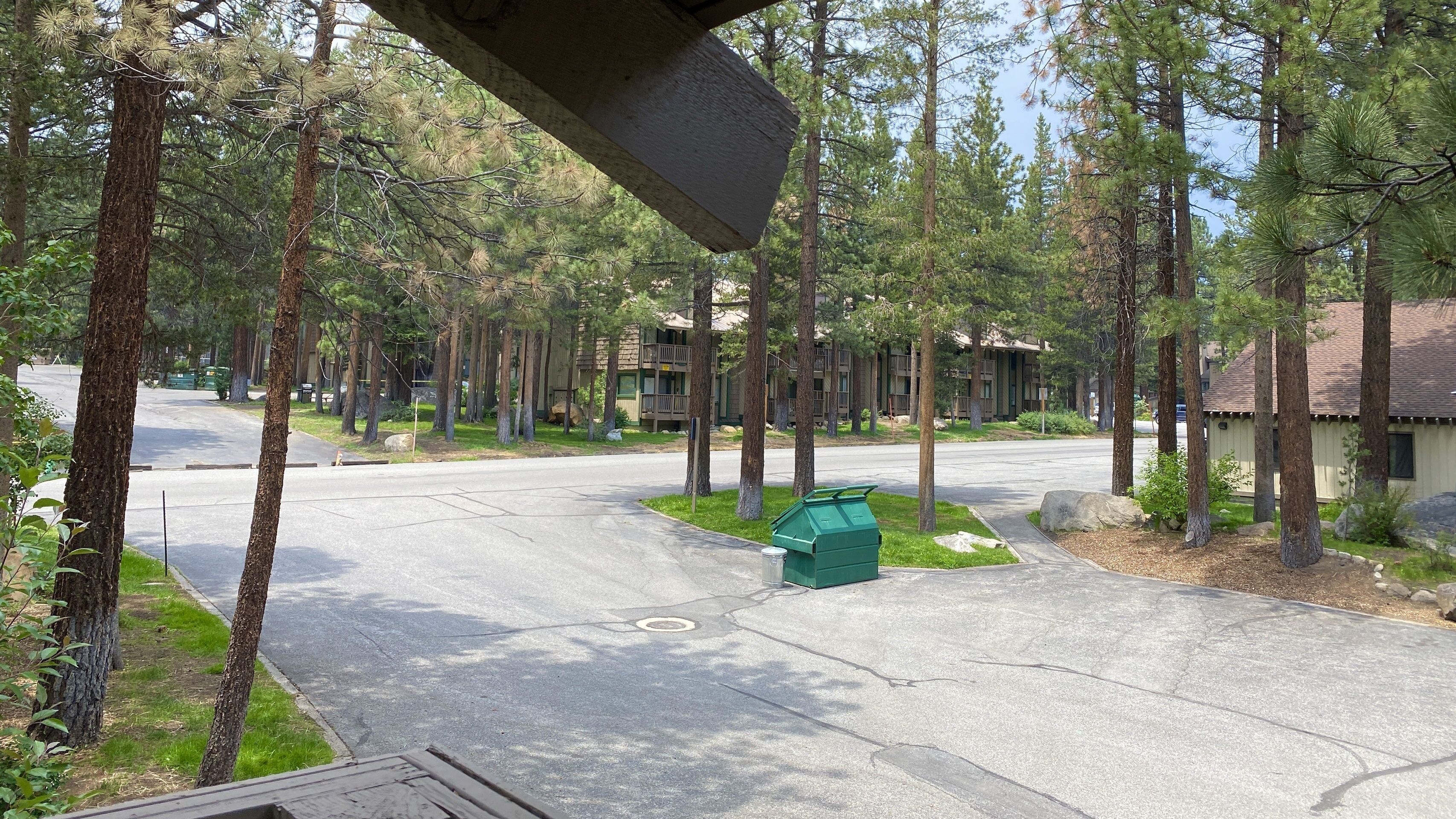 A residential street with tall pine trees, a green dumpster, and a building with a brown roof.