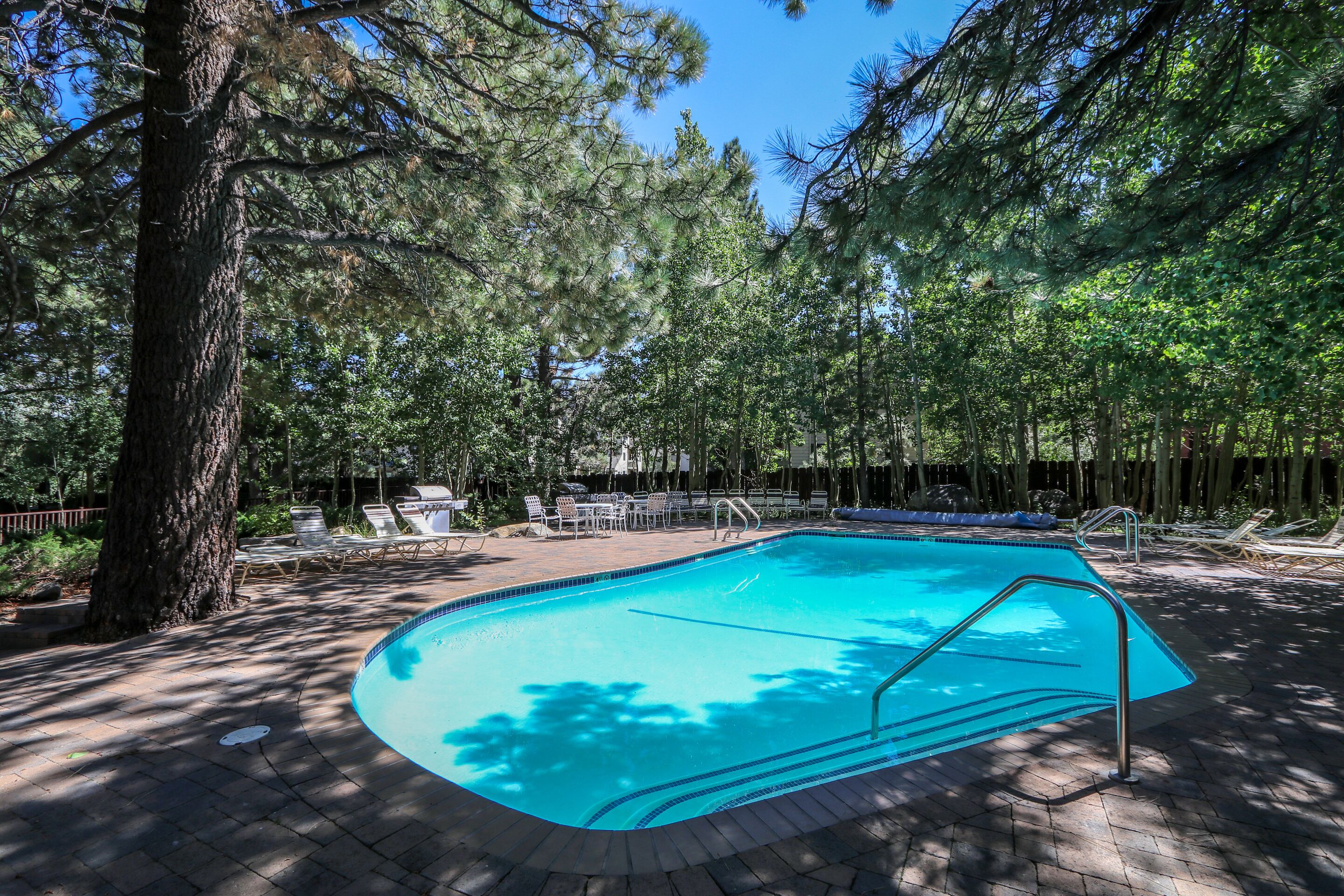 A swimming pool surrounded by trees, with lounge chairs and a barbecue area.