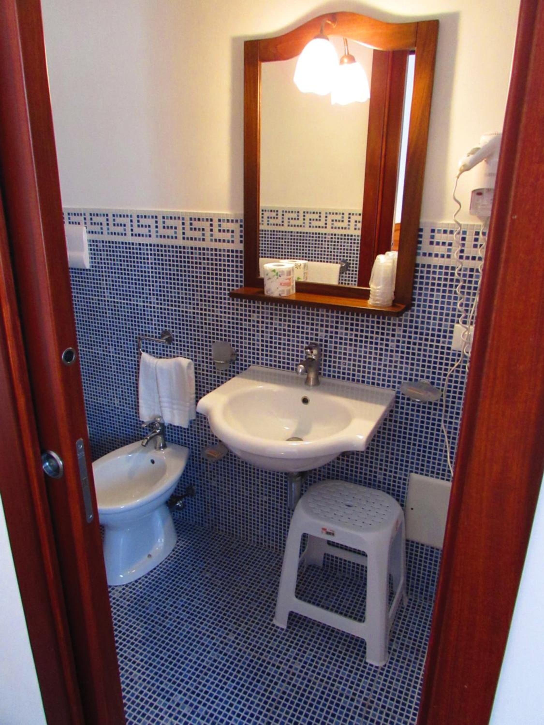 shower, free toiletries, hair dryer, bidet