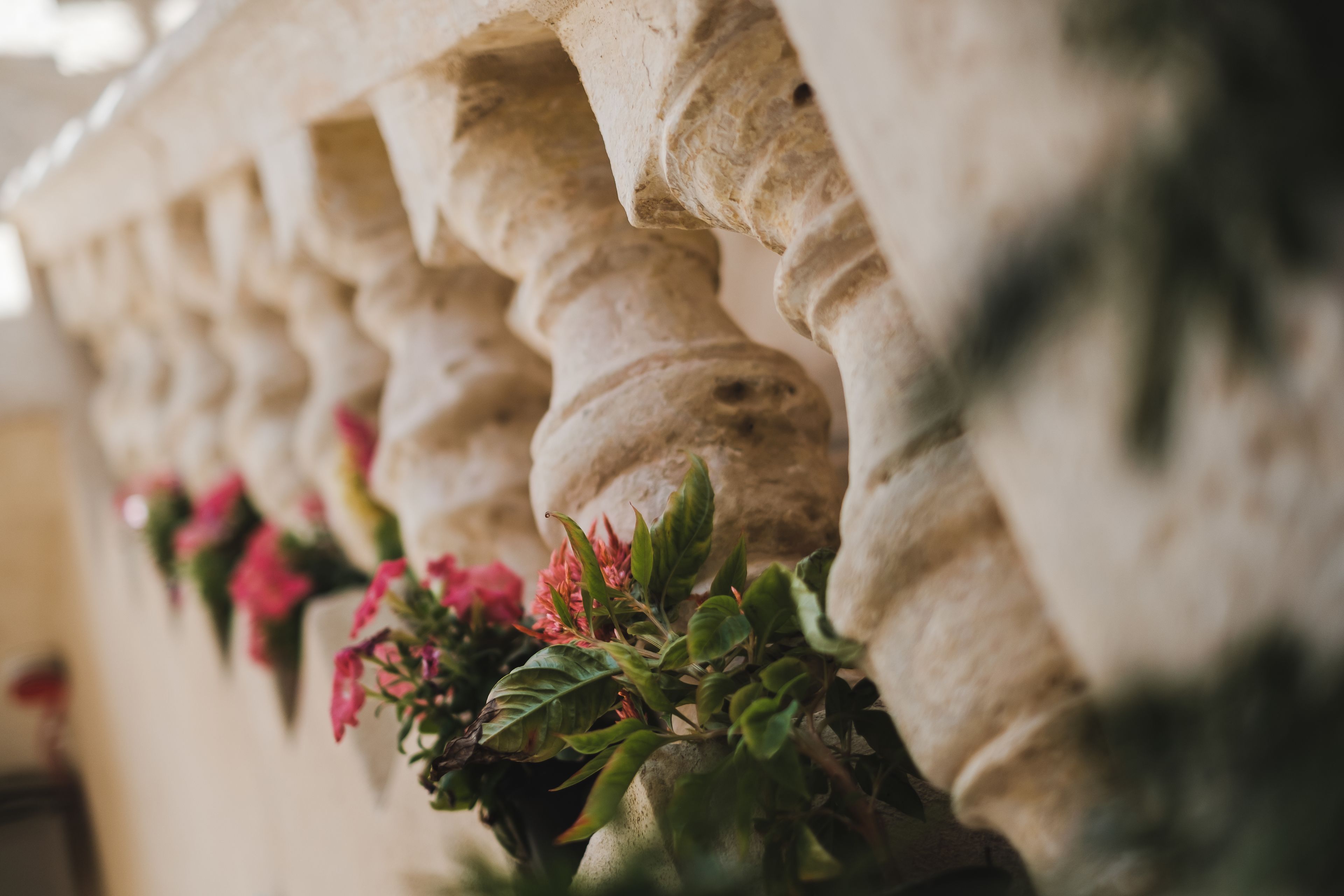 Foto - Talbot & Bons Bed & Breakfast