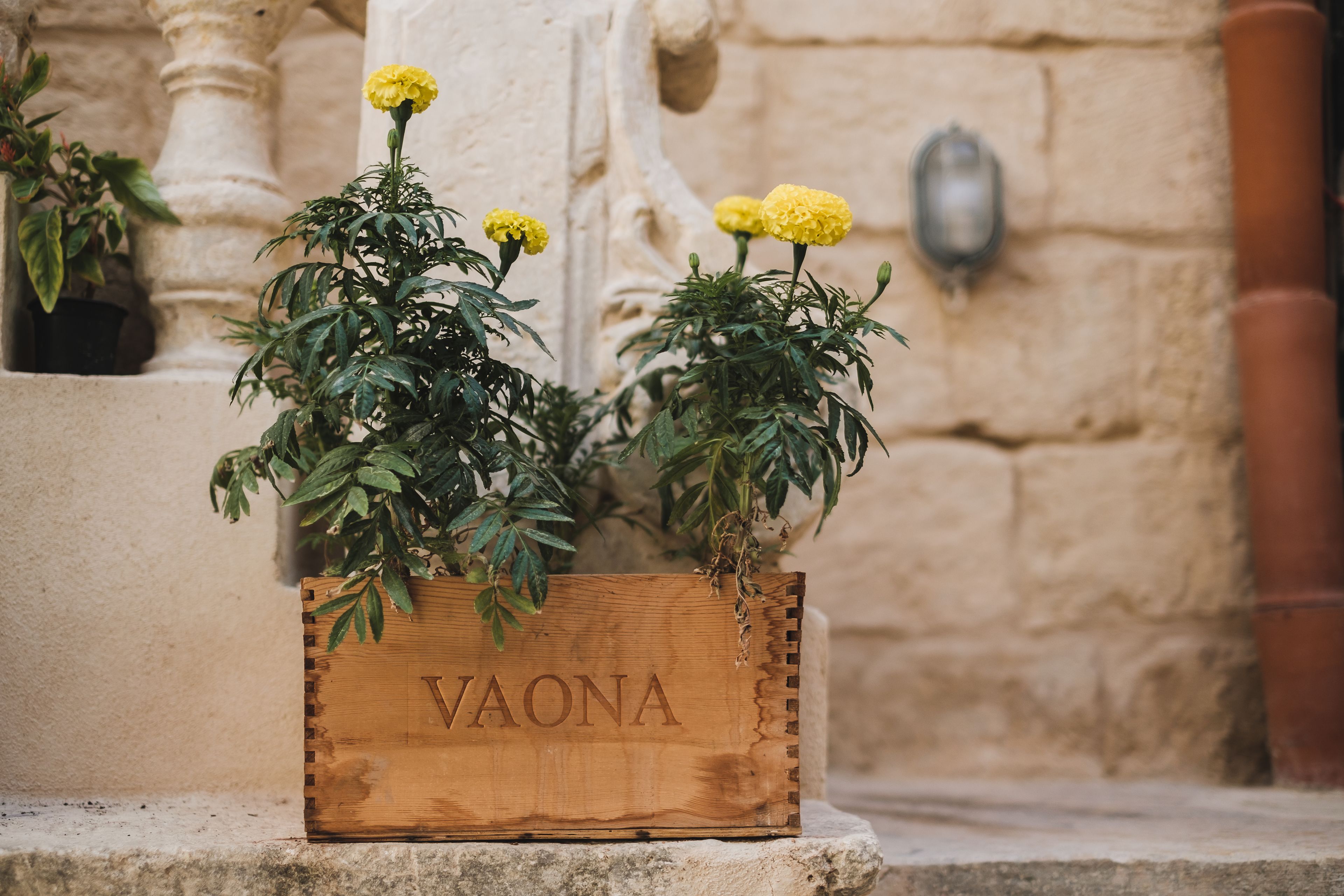 Foto - Talbot & Bons Bed & Breakfast