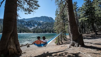 Condo, 2 Bedrooms | Lake