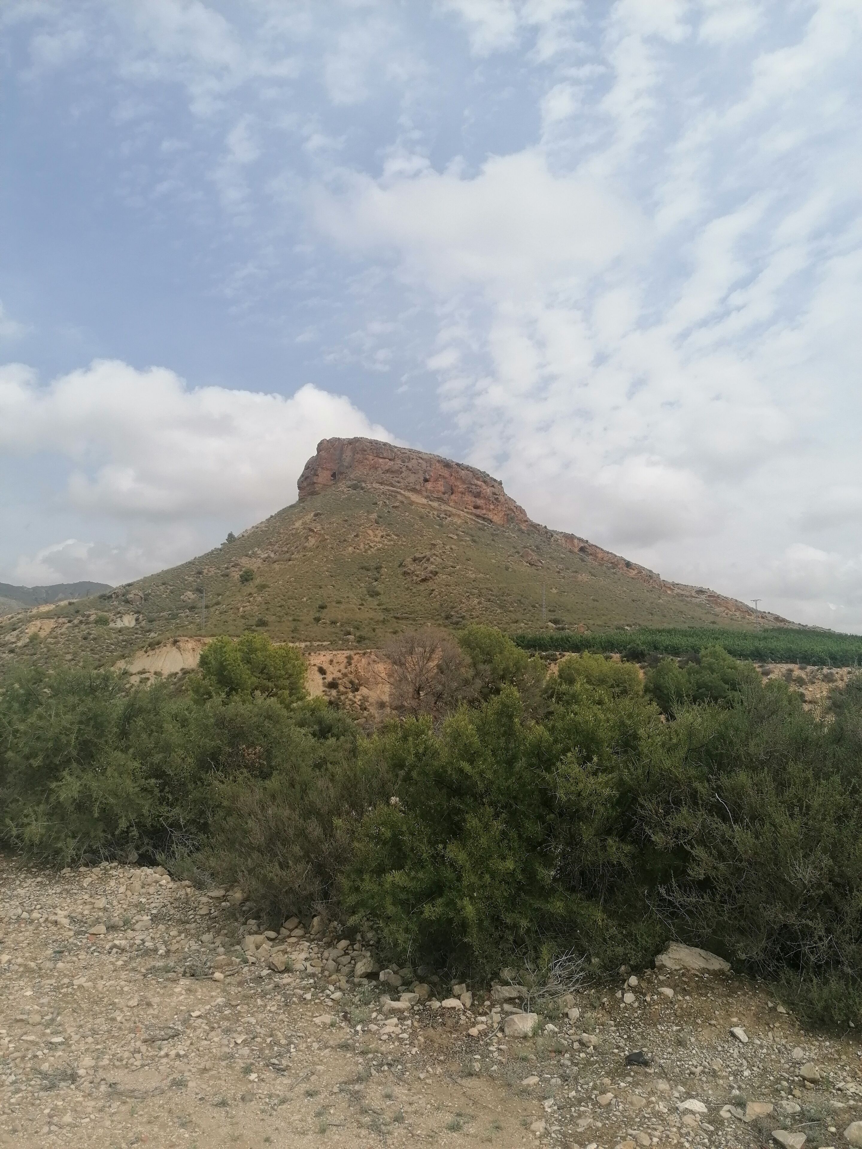 Photo - The Olive Mill Aparthotel