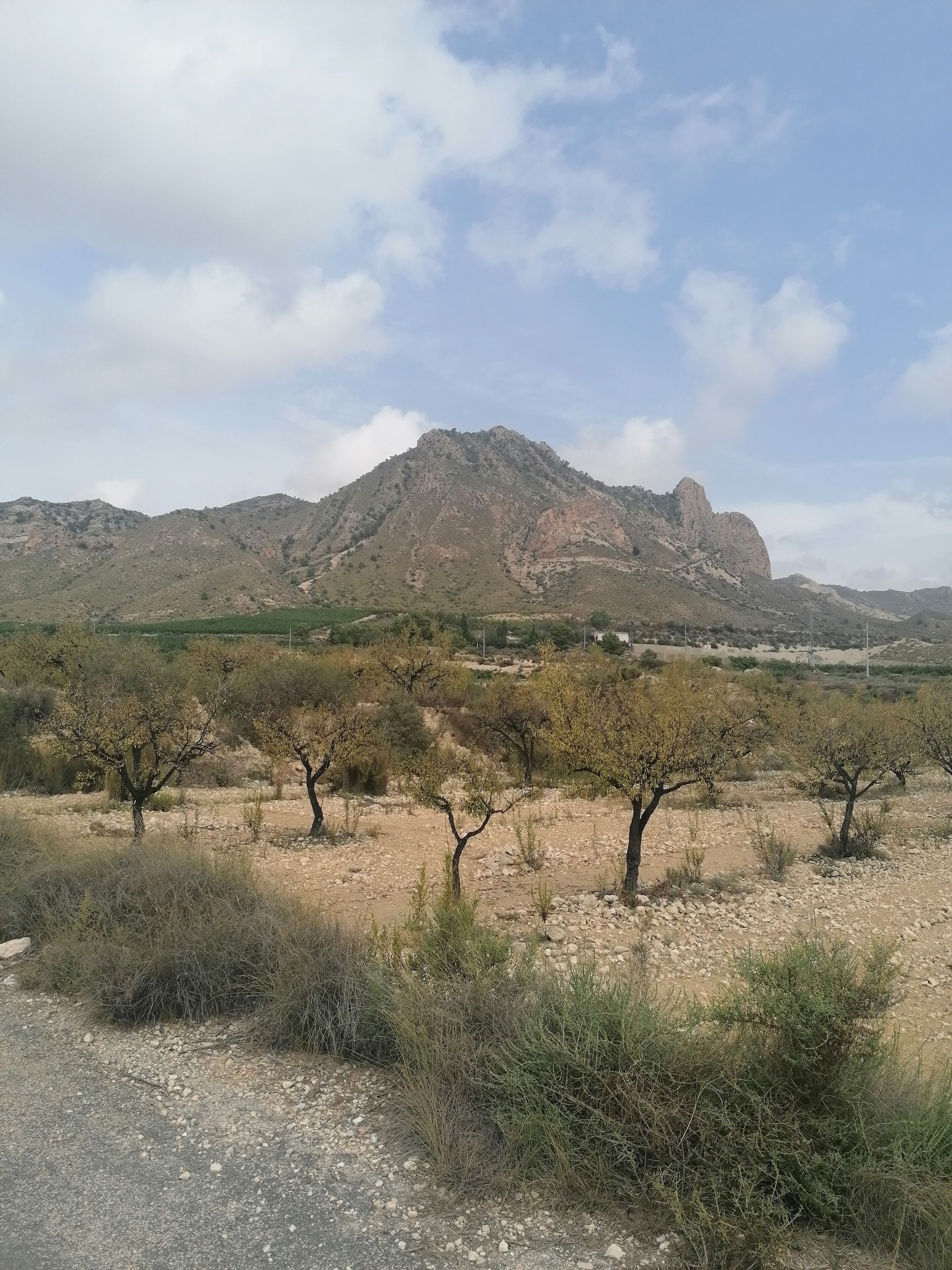 Photo - The Olive Mill Aparthotel