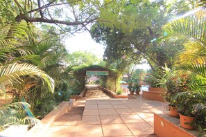 A pathway flanked by potted plants leading to a covered area with a sign.