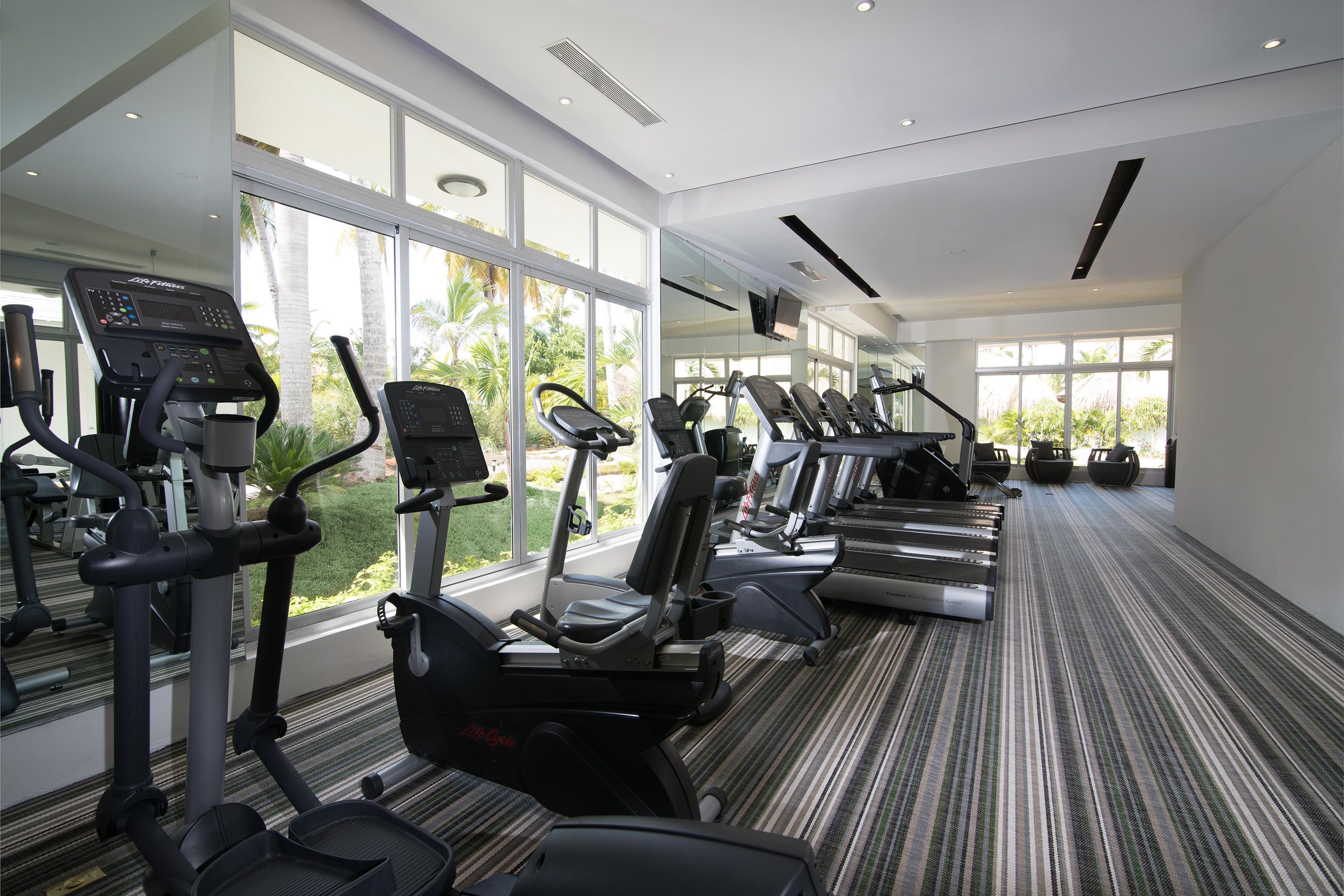 A gym with various cardio machines, large windows, and a striped carpet.