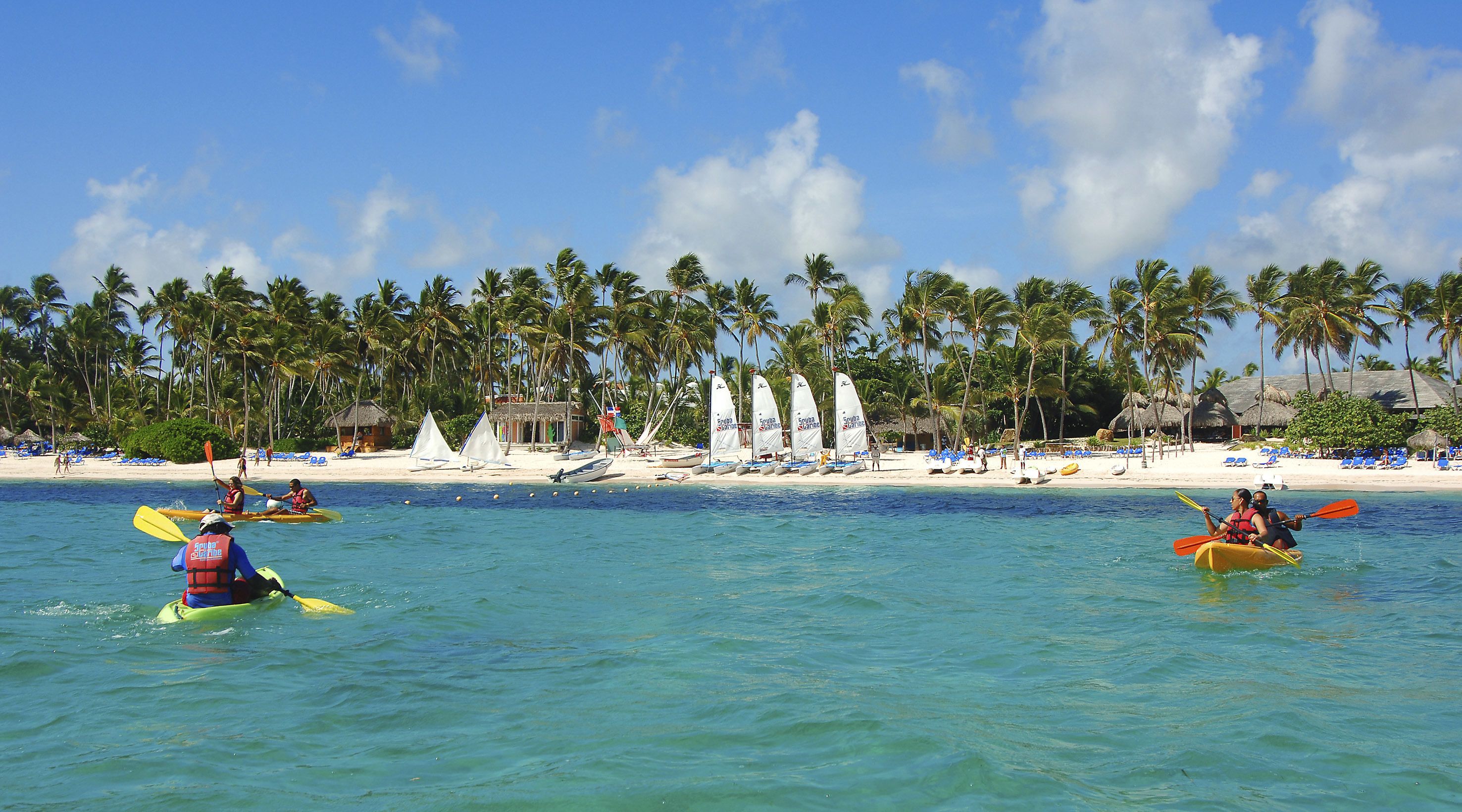 A beach with kayaks, palm trees, and a sandy shore.