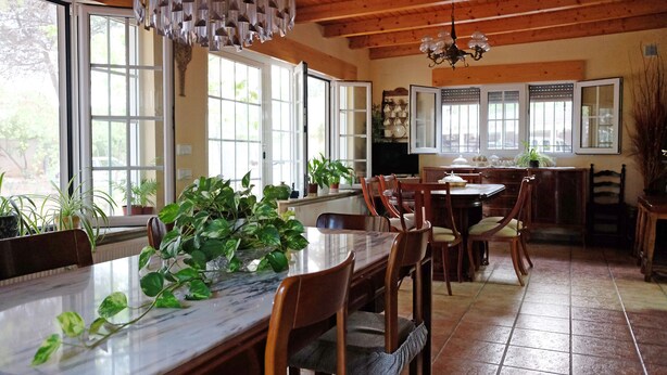 A dining area with a wooden table, chairs, and potted plants. - Casa Rural Aire (Muro del Alcoy)