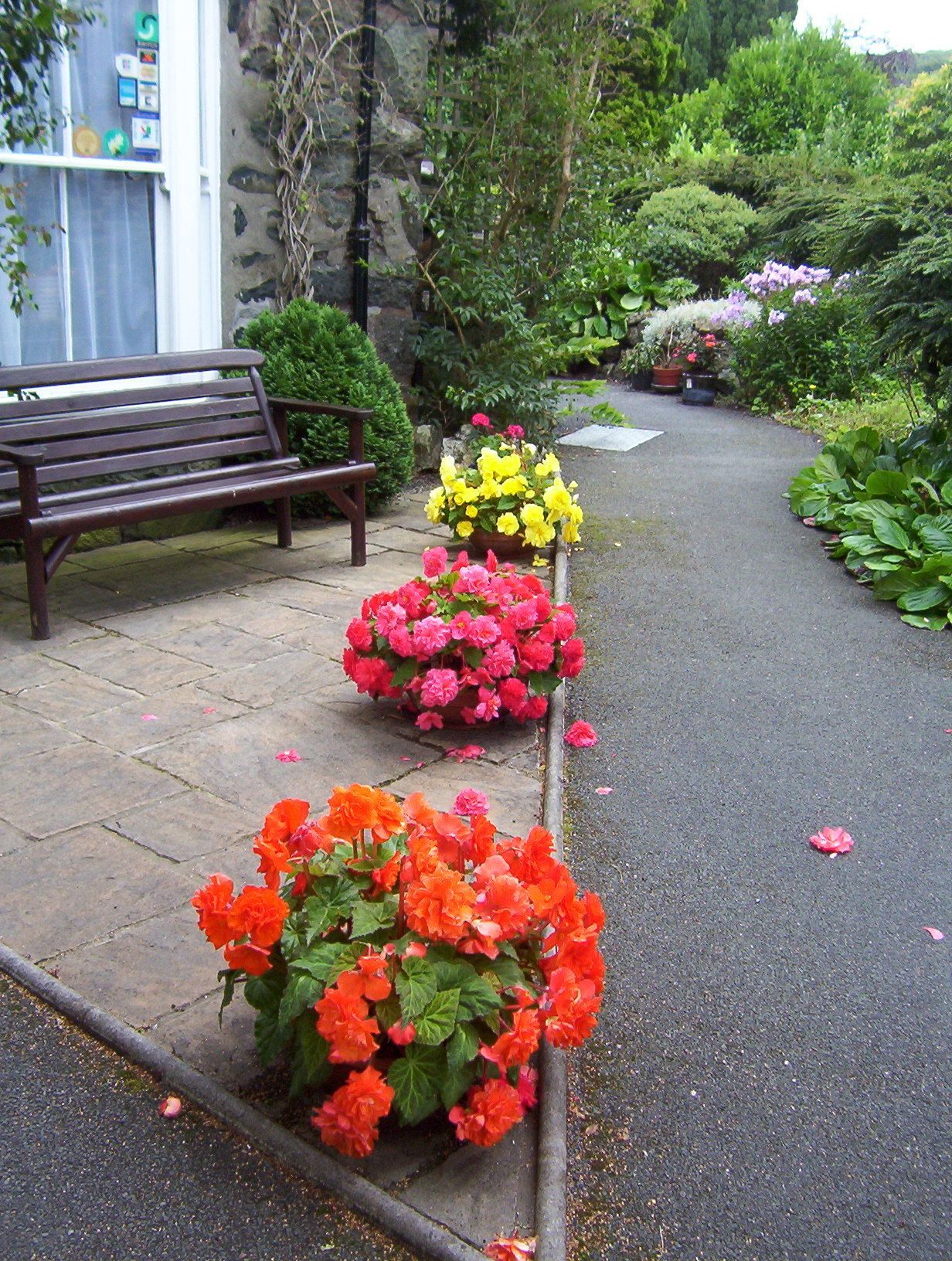 A pathway lined with flower beds containing vibrant flowers, a bench, and a stone wall.