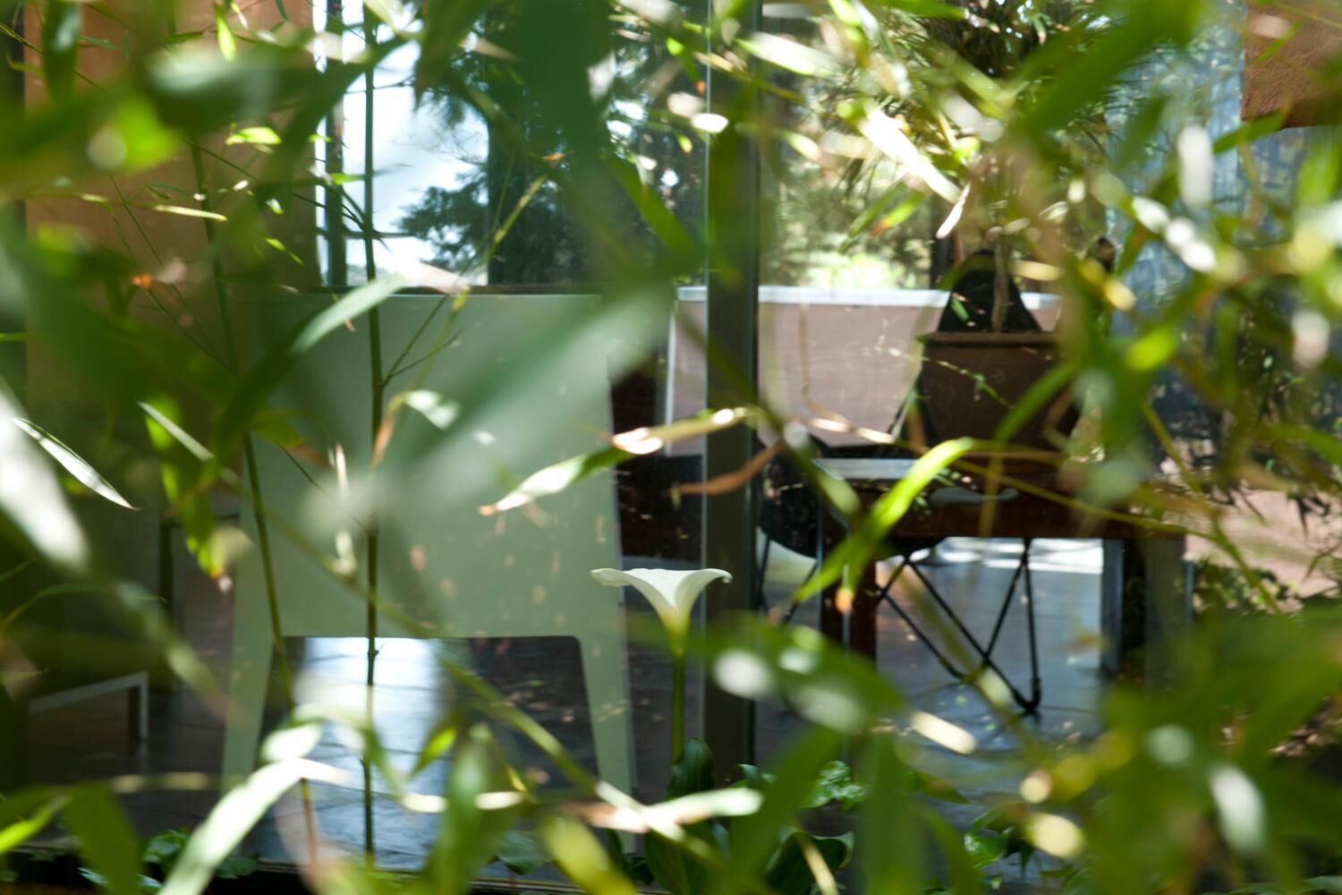 Vista a través de una ventana que muestra follaje, una silla y una mesa al fondo.