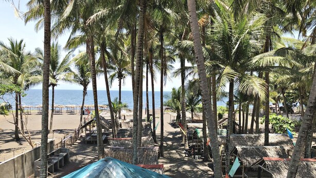 Una playa con palmeras, una zona de estar cubierta y vistas al mar.