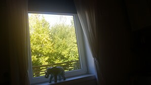 华丽双床房 | 1 多间卧室、高档床上用品、羽绒被、加厚床垫