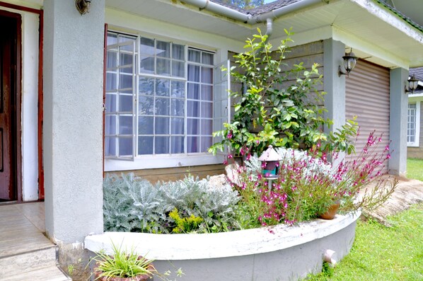 A house with a covered porch, a window, and a planter with various plants.