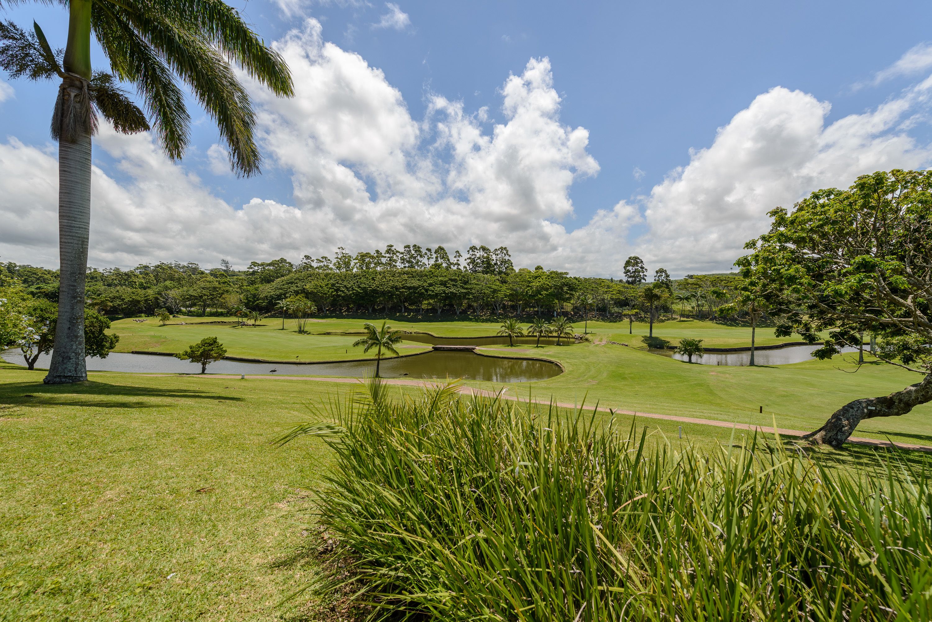 A golf course with a pond, palm trees, and a clear sky.